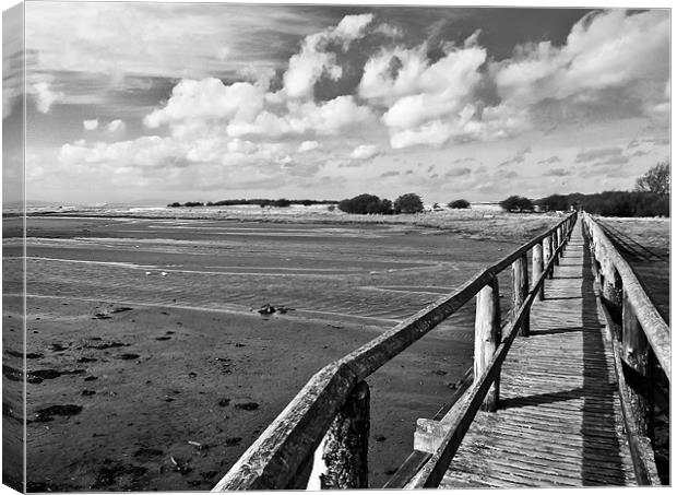 Aberlady Bay BW Canvas Print by Buster Brown