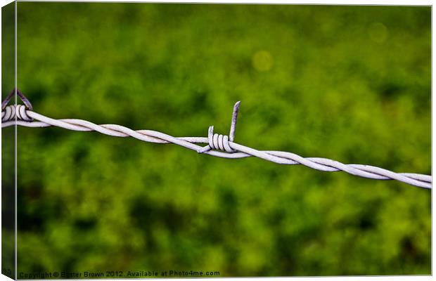 Barbed Wire Simplicity Canvas Print by Buster Brown