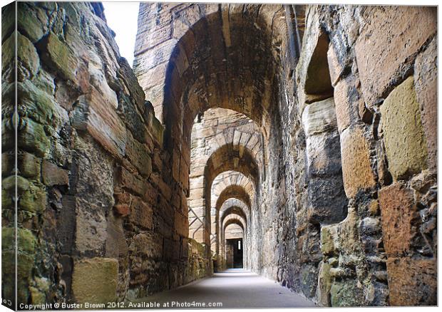Linlithgow Palace Walkway Canvas Print by Buster Brown