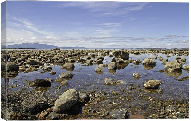 Rocky Scottish Beach Canvas Print by Buster Brown