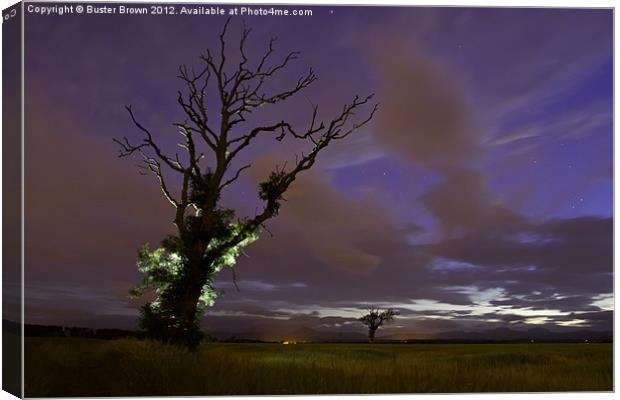 Night Time Tree Canvas Print by Buster Brown