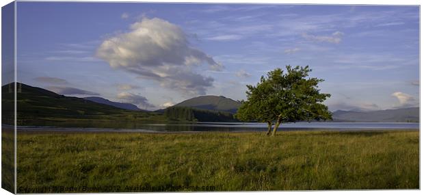 Loch Ba The Scottish Highlands Canvas Print by Buster Brown