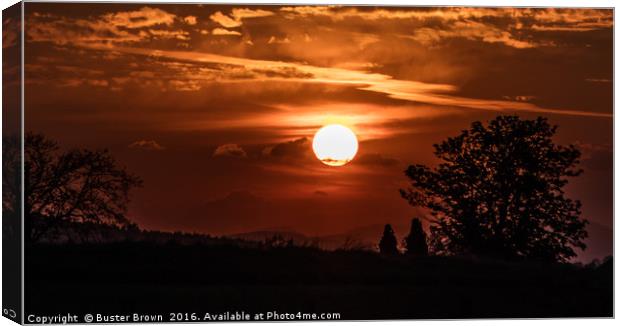 Scottish Sunset Canvas Print by Buster Brown