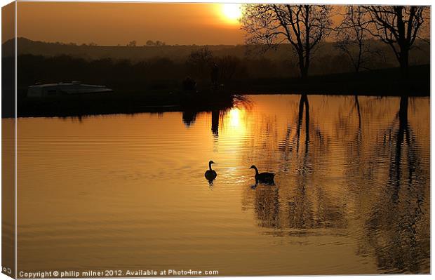 Sunset and Geese Canvas Print by philip milner