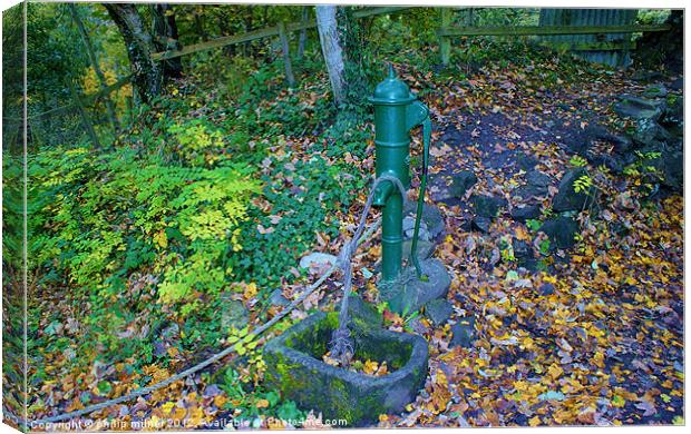 Old Green Water Pump Canvas Print by philip milner