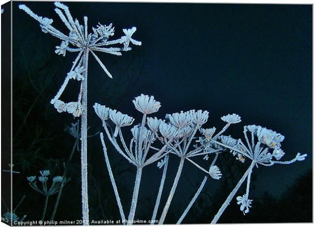 Frost Against The Sky Canvas Print by philip milner