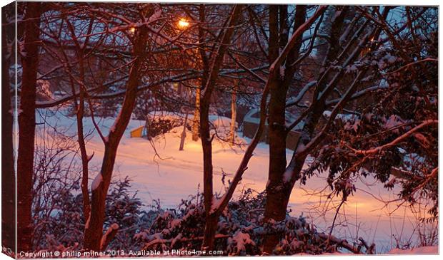 Winter From My Window Canvas Print by philip milner