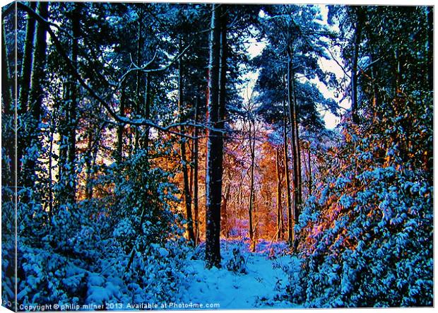 Sunrise Through The Forest Canvas Print by philip milner