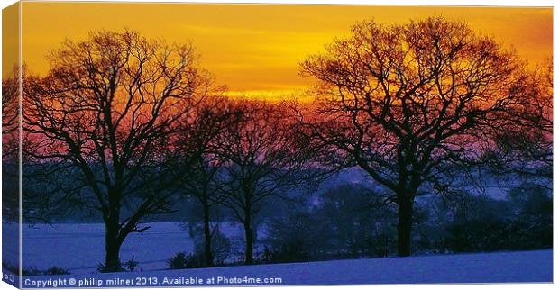 Sunrise Through The Trees Canvas Print by philip milner