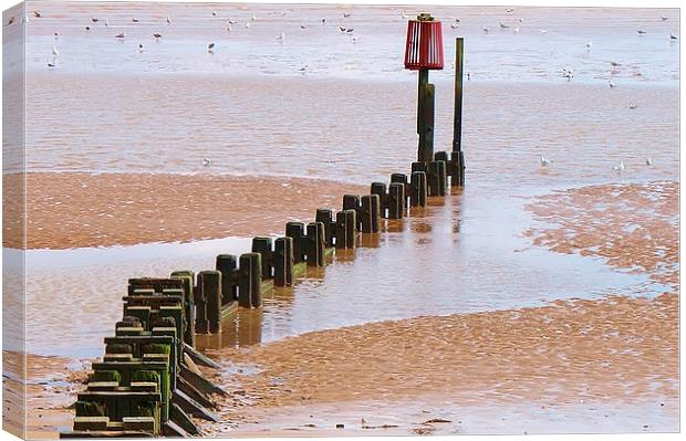 Cleethorpes Beach IN Autumn Canvas Print by philip milner