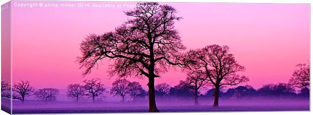 Misty Sunrise In Warwickshire Canvas Print by philip milner