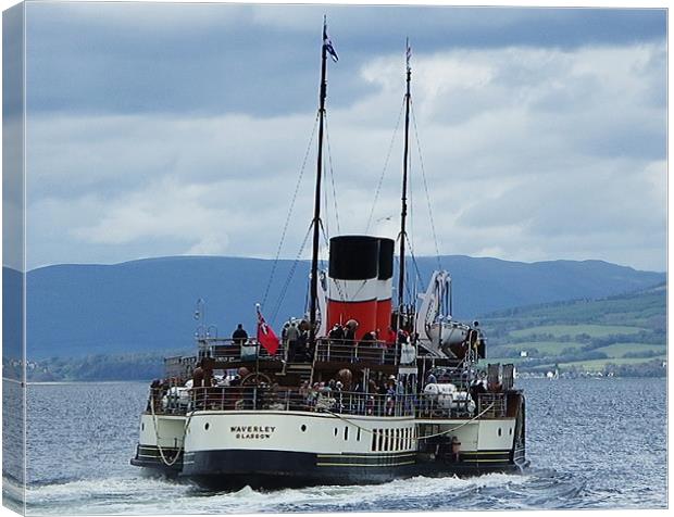 The Waverley Paddle Steamer Canvas Print by Dawn Gillies