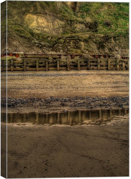 Beach Reflections Canvas Print by Nick Coleby