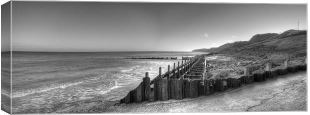 Coast Line Canvas Print by Nick Coleby