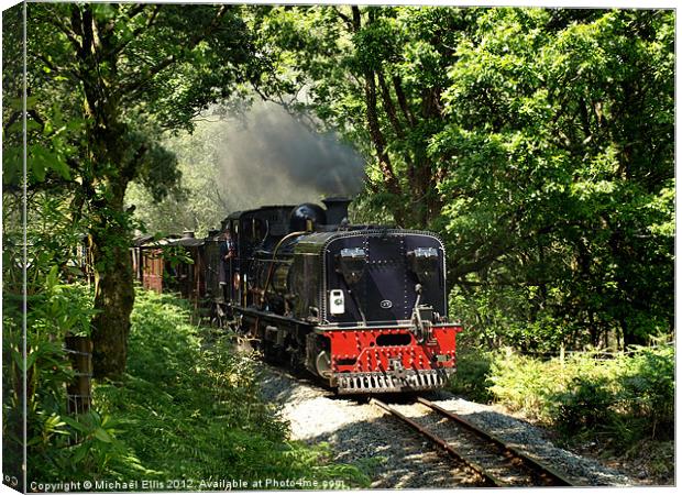 The Welsh Highland Railway Canvas Print by Michael Ellis