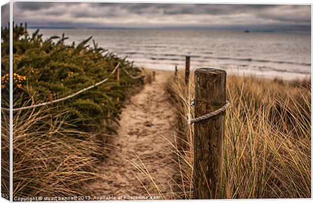 The Grass and the Sea Canvas Print by stuart bennett