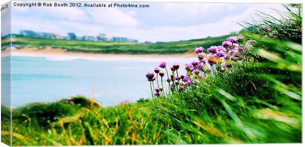 'Sea Thrift View' Canvas Print by Rob Booth