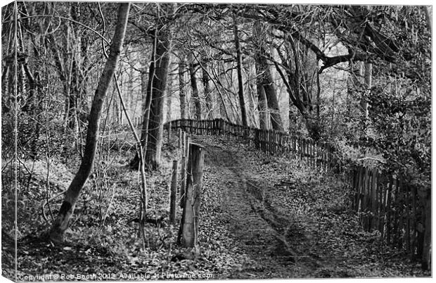 Into The Dark Woods Canvas Print by Rob Booth