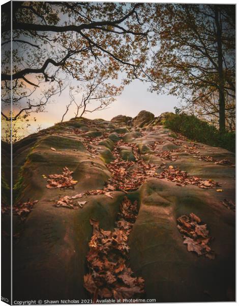 Sandstone Rock Face in Autumn Canvas Print by Shawn Nicholas