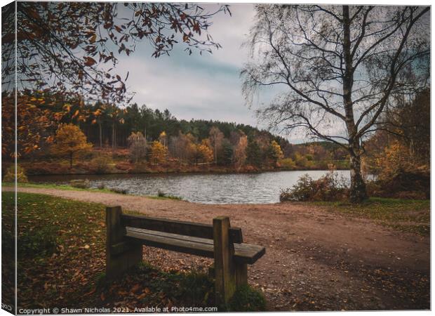 Autumn Landscape looking over the Lake in Cannock Chase, Staffordshire Canvas Print by Shawn Nicholas