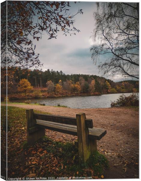 Autumn Landscape looking over the Lake in Cannock Chase, Staffordshire Canvas Print by Shawn Nicholas
