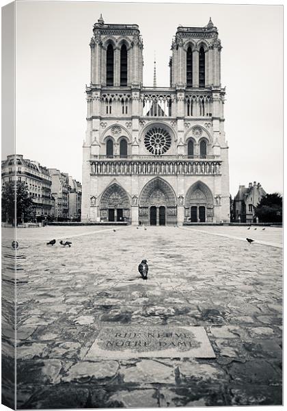 Notre Dame Canvas Print by Daniel Zrno