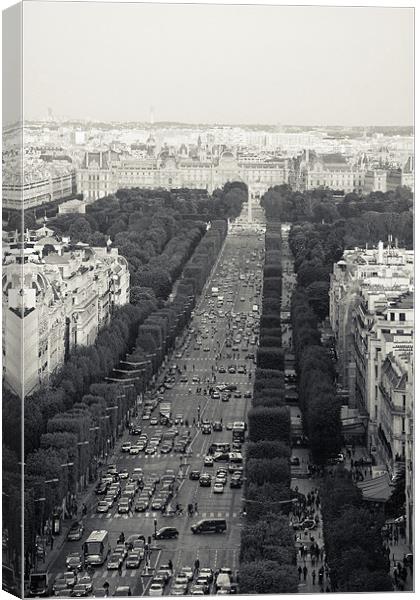 Champs Elysees from Arc de Triomphe Canvas Print by Daniel Zrno