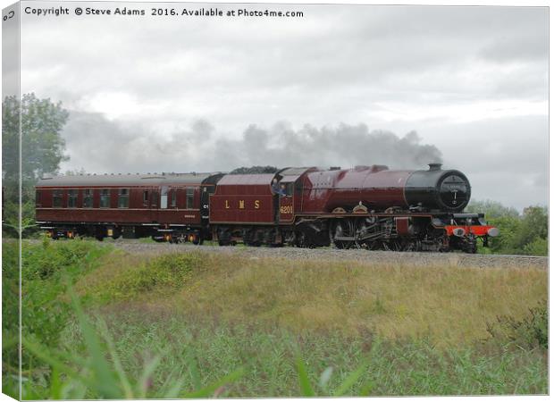 Princess Elizabeth Canvas Print by Steve Adams