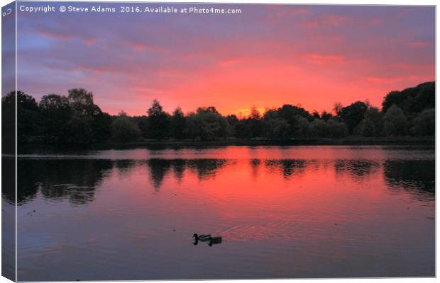 Wollaton sunrise at the Lake Canvas Print by Steve Adams