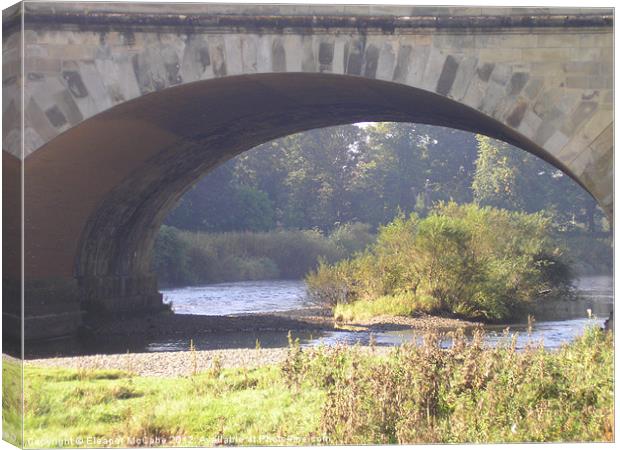 Through the Archway! Canvas Print by Eleanor McCabe