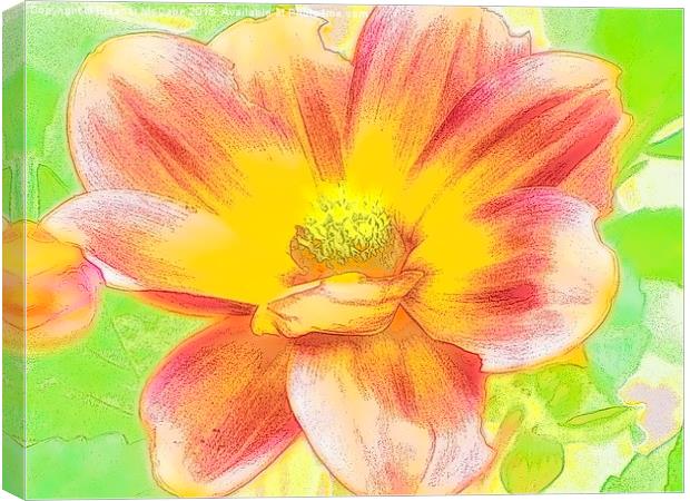  Delightful Delicate Dahlia Canvas Print by Eleanor McCabe