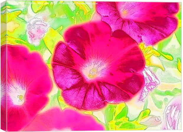  Summer Raspberry Beauty Canvas Print by Eleanor McCabe