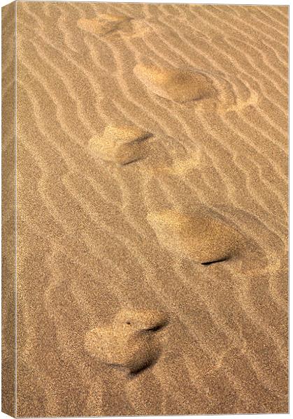foot steps in the sand Canvas Print by Jon Grover