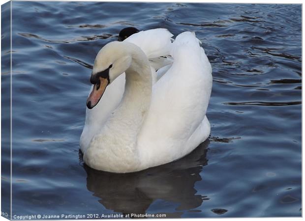 Swan on the Water Canvas Print by Joanne Partington