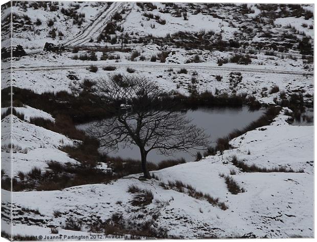 Snowy Lake Canvas Print by Joanne Partington