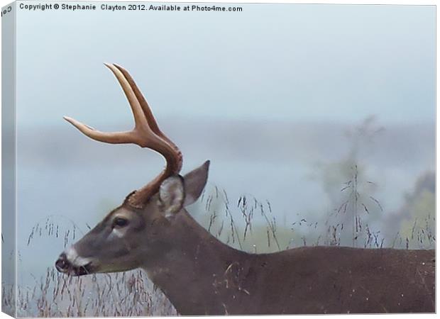 Smokey Mountain Deer Canvas Print by Stephanie Clayton
