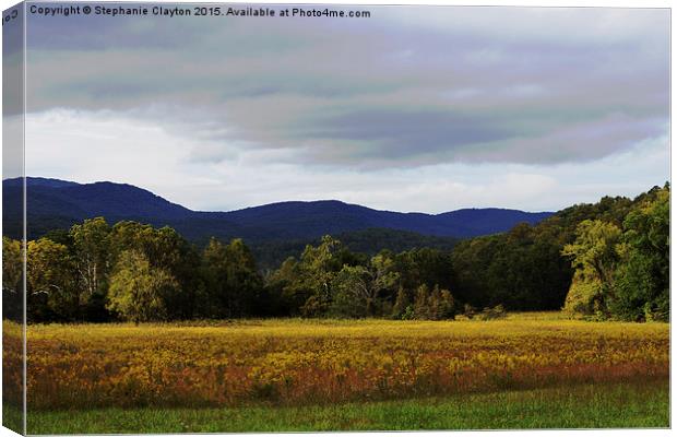 Smoky Mountain Bliss  Canvas Print by Stephanie Clayton