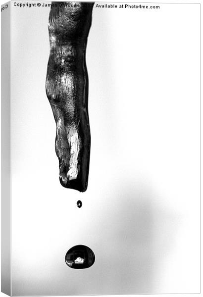 The Drip in mono Canvas Print by James O'Rourke