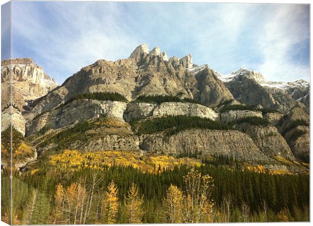 The Layers of Fall Canvas Print by Peter Raby