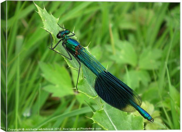 Blue Damsel Fly Canvas Print by michelle whitebrook