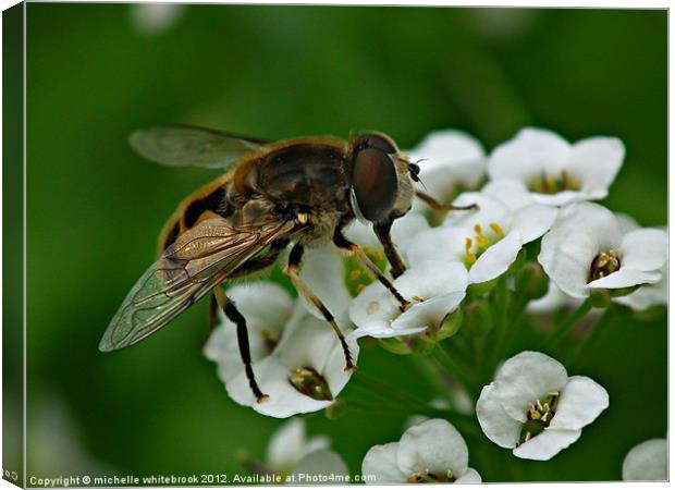 Nom Nom 2 Canvas Print by michelle whitebrook