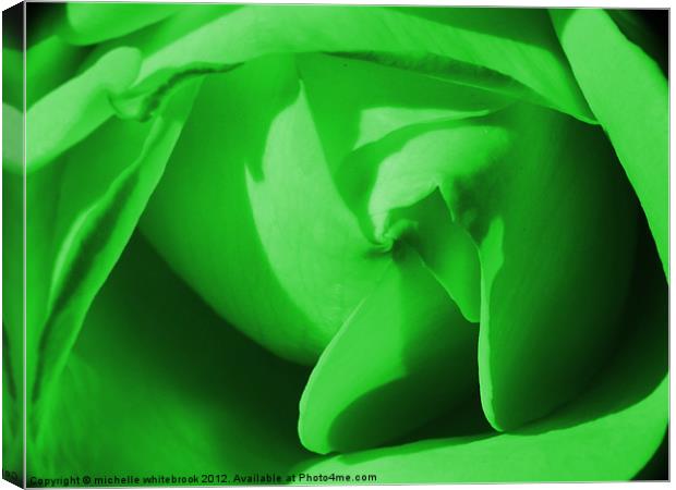 Green Rose Canvas Print by michelle whitebrook