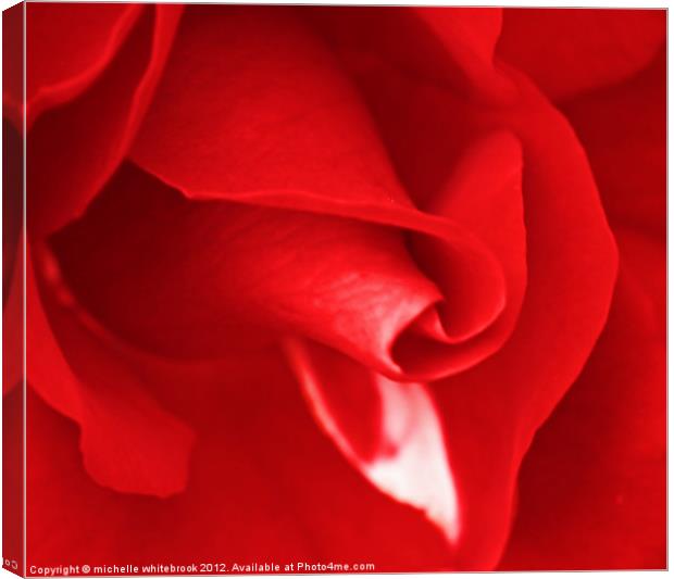 Lovers Rose 2 Canvas Print by michelle whitebrook