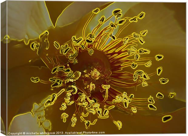 Electric Flower Canvas Print by michelle whitebrook