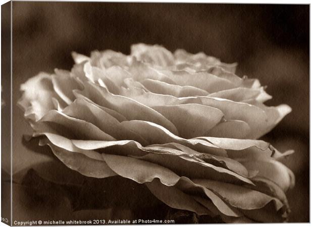 Old Rose Canvas Print by michelle whitebrook