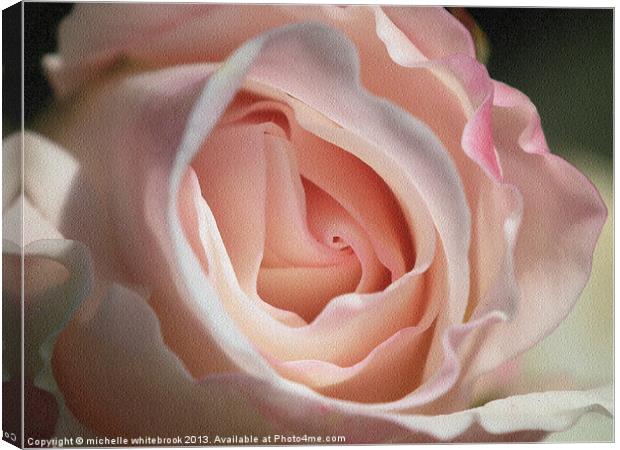 Soft Pink Canvas Print by michelle whitebrook