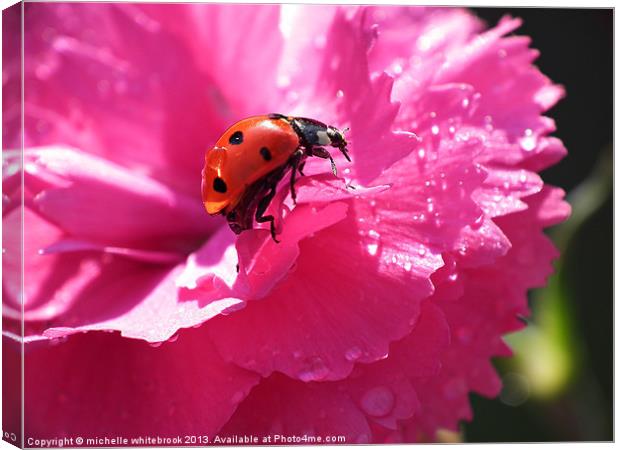 Lady bird and Dew Canvas Print by michelle whitebrook
