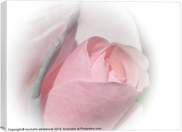 SOFT ROSE 9 Canvas Print by michelle whitebrook