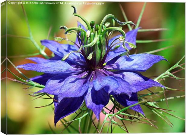 Blue love in a mist Canvas Print by michelle whitebrook