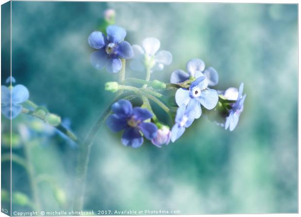 Dreamy Forget Me Not Canvas Print by michelle whitebrook